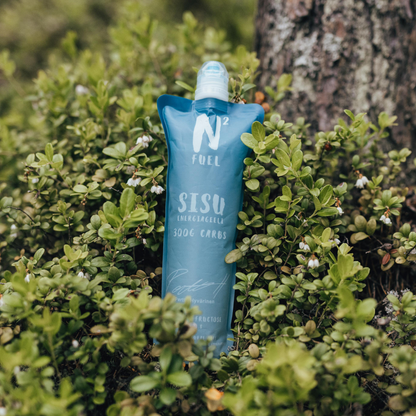 SISU ENERGIAGEELI